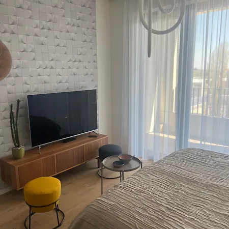 Executive Pristavna *