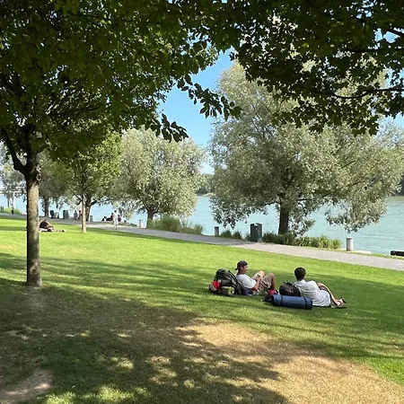 Executive Free Street Parking Appartamento